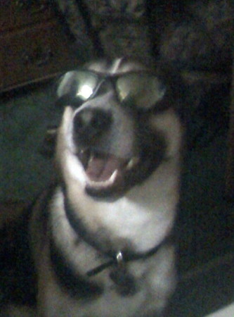 Lucky's impression of "Cheap Sunglasses"