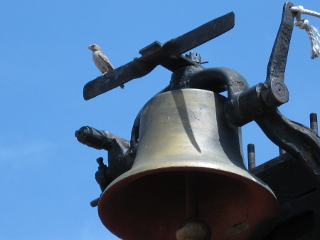 bird and bell