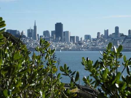 The city view from Alcatraz