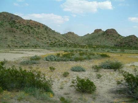 Big Bend National Park