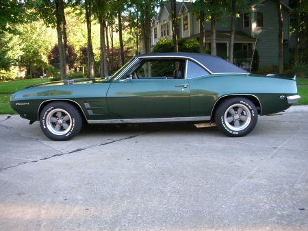 My 1969 Firebird