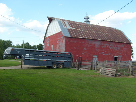 The farm 035