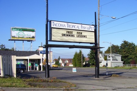 Funny sign at the tropical fish store