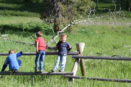 At yellowstone