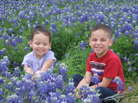 Bluebonnets '09