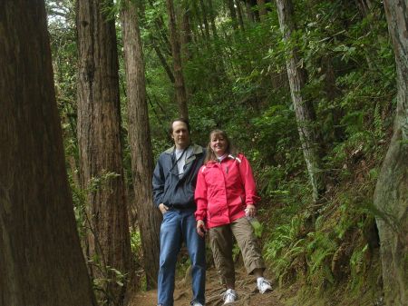 Muir Woods - Redwoods