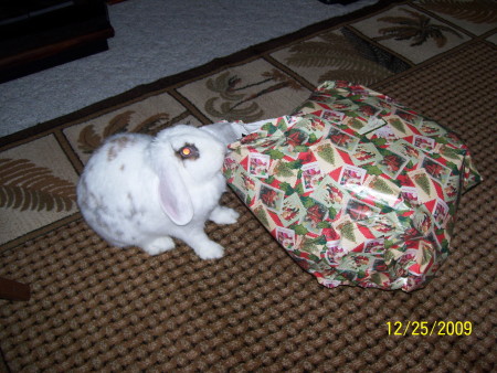 Quincy opening gifts 12/25/09