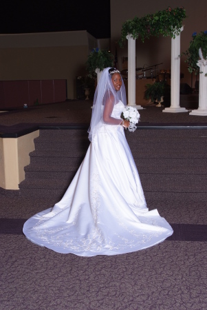 My Dream Dress & Veil