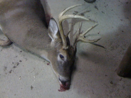 My First Deer, Jan, 2010