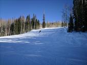 shredding snowmass