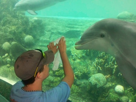 Thomas at seaworld 8/09