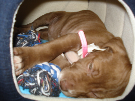 Darlas first day home,