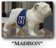 Madison Area Memorial High School Reunion reunion event on Aug 8, 2015 image