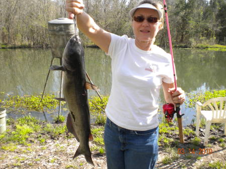 My latest catfish from our pond.