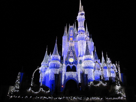 Disney World 2010