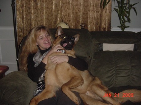 Diesel - thinks he's a lap dog