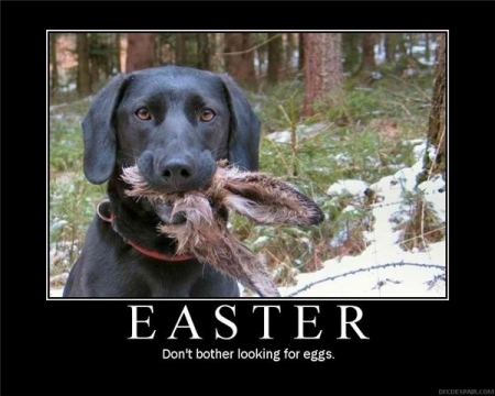 Happy Easter!!