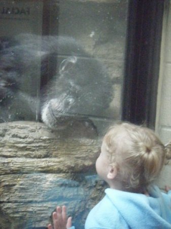 gretchen at the zoo spring 2009