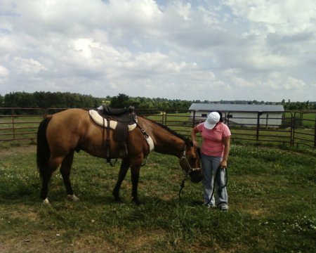 teaching a horse