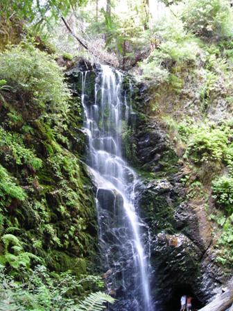 waterfall - yes, this is in Big Basin