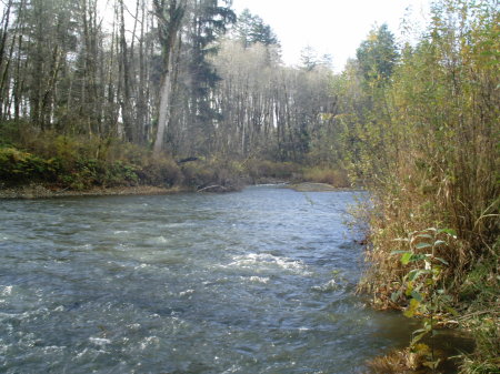 Middle Fork Satsop River