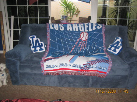 MY DODGER SOFA