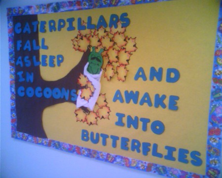 Caterpillar in cocoon bulletin board