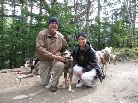 Sled Dog camp