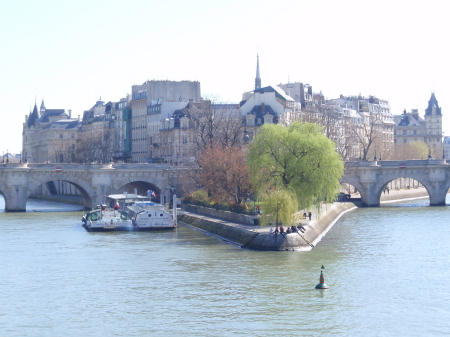 Island on the Seine River