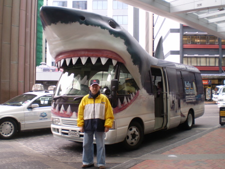 shark bus in auckalnd to see the sharks