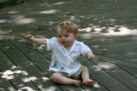 Mick at Ann Marie Gardens