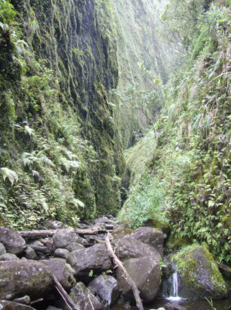 Maui and Iao Valley