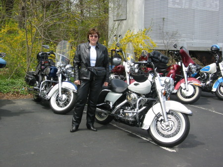 Me and My Harley 2003