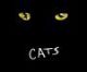 Musical Production of CATS reunion event on Sep 19, 2009 image