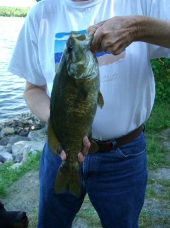 A nice 4 lb. smallmouth bass.