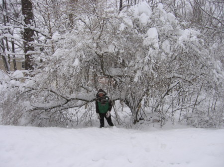 06.under the snow 02-26-2010