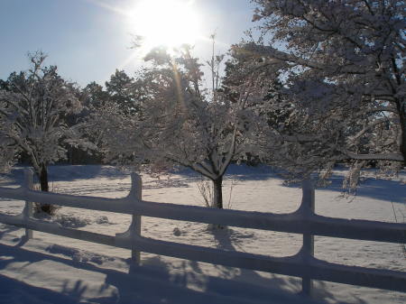 sun and snow--it was gone by the afternoon