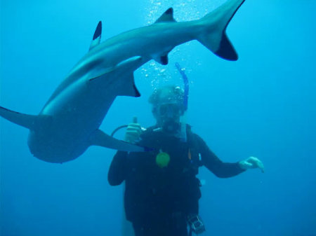 Diving Great Barrier Reef Australia