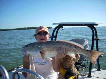 Redfish 10,000 Islands, FL