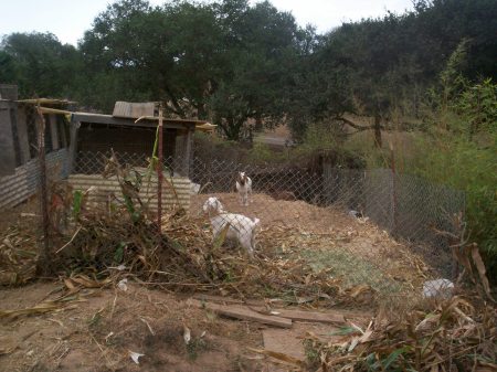 lunch time at the ranch