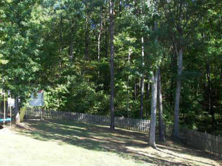 Private, Wooded Backyard