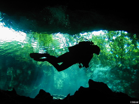 Diving in a Cenote in Mexico