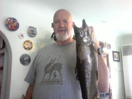 mack and chinook salmon about 20 lbs