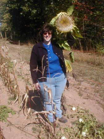 Tracey with sunflower