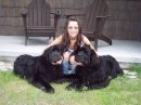Camre and her dogs
