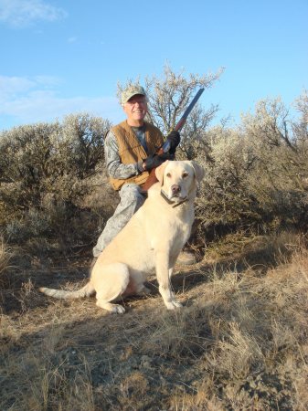 Dove hunt