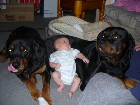 baby protection crew
