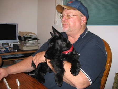 My Tazmanian Devil Scottish Terrier  "Daisy"