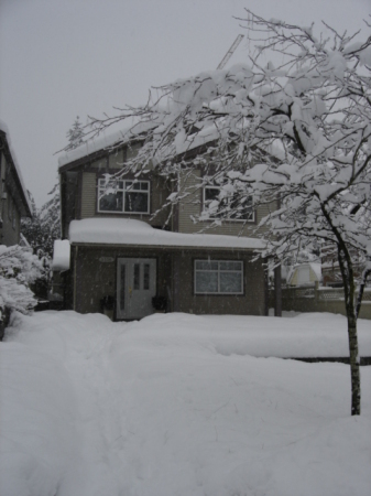 My Home in Winter