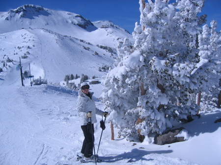 Mammoth - Feb 21-23- 2010 007